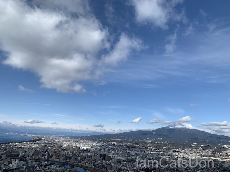 香貫山 沼津市 山頂風景 景色 富士山 狩野川 駿河湾 2021 正月 2