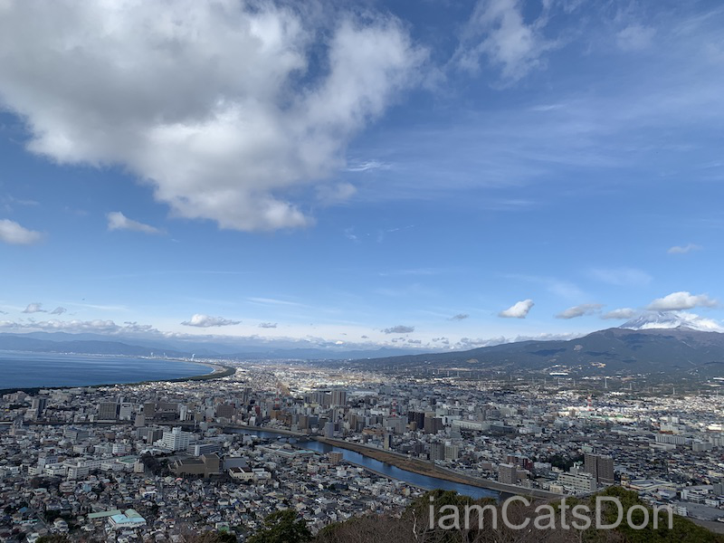 香貫山 沼津市 山頂風景 景色 富士山 狩野川 駿河湾 2021 正月