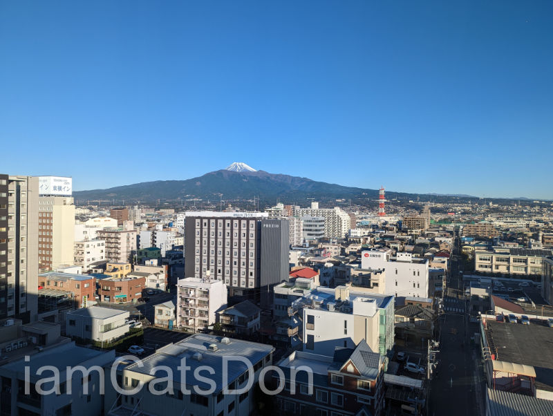 ダイワロイネットホテルぬまづ スタンダードダブル 20平米 富士山ビュー